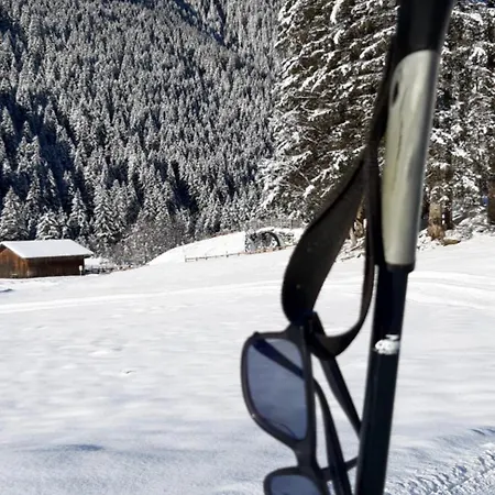 Stubai Telfes 公寓 *