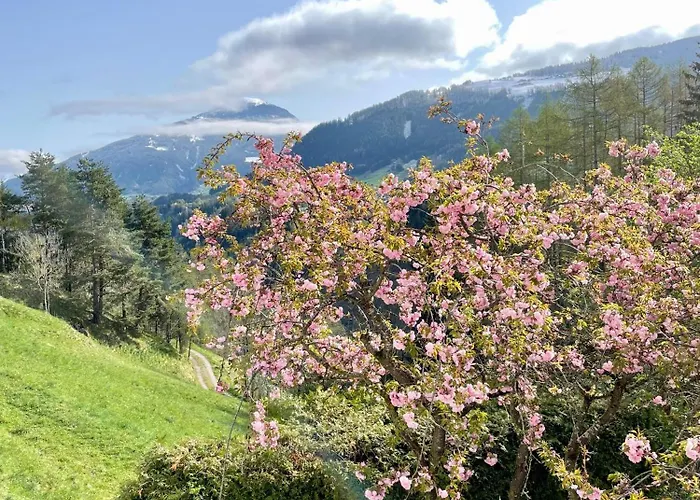 Stubai Telfes Telfes im Stubai