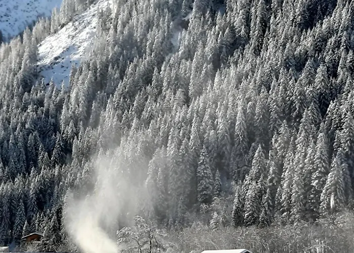 Apartman Stubai Telfes *