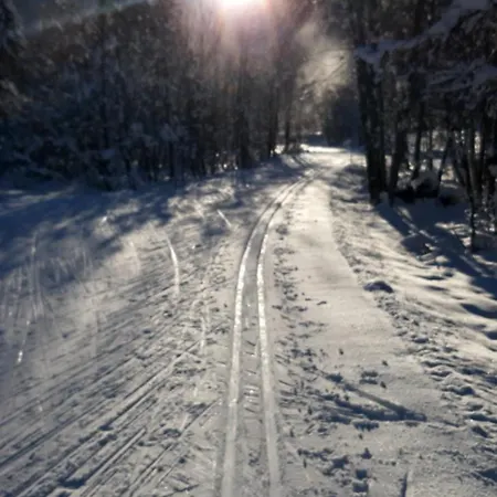 Διαμέρισμα Stubai Telfes